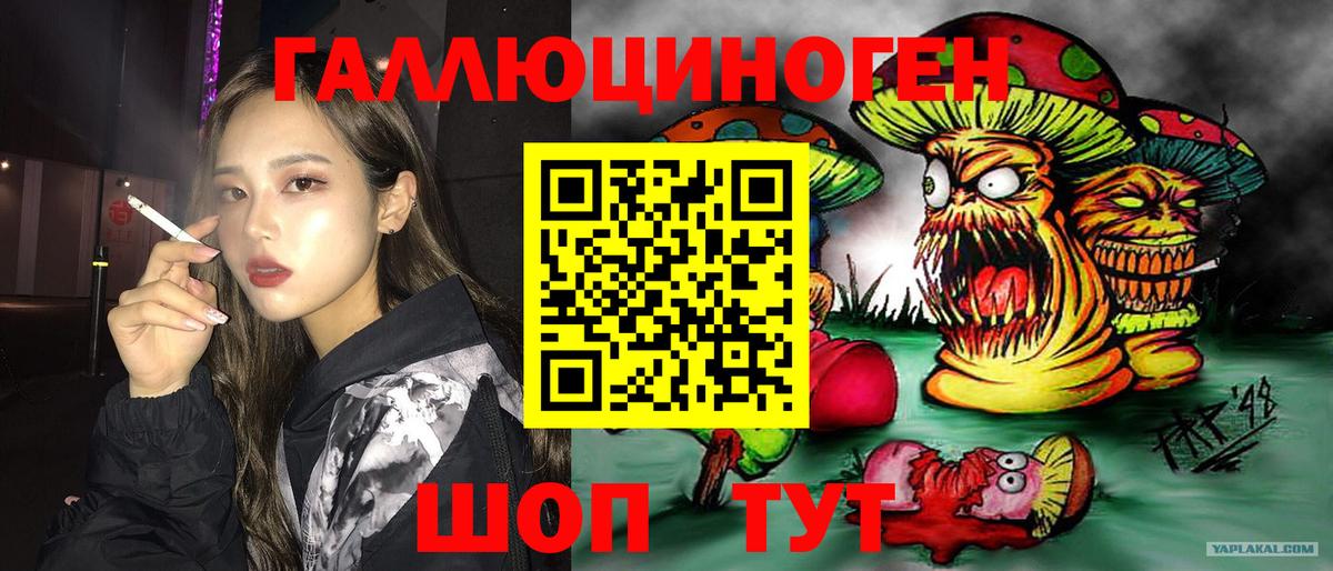 Галлюциногенные грибы мухоморы Новоалександровск